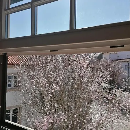 Casa Da Careca * بونتي دا بارسا